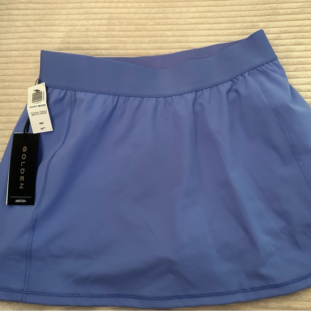 Aritzia Blue Mini Skater Skirt for Casual Occasions